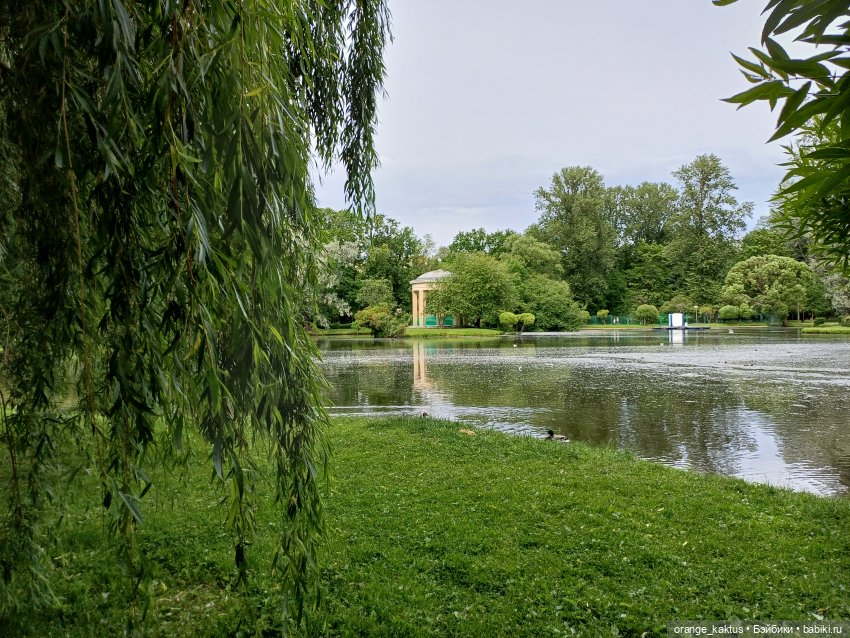 Братья Улыбашки — Куклы Барби