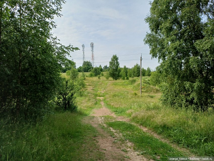 В компании Одиль прибавление