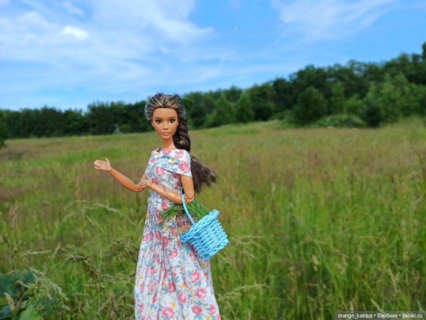 Лина в пригороде — Куклы Барби