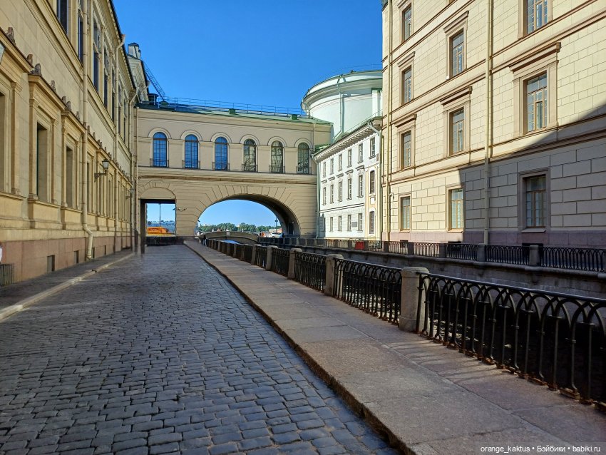 Новенький и его первая прогулка (фото 7)