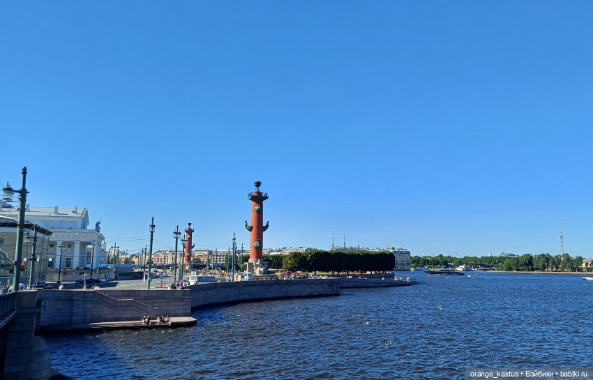 Новенький и его первая прогулка