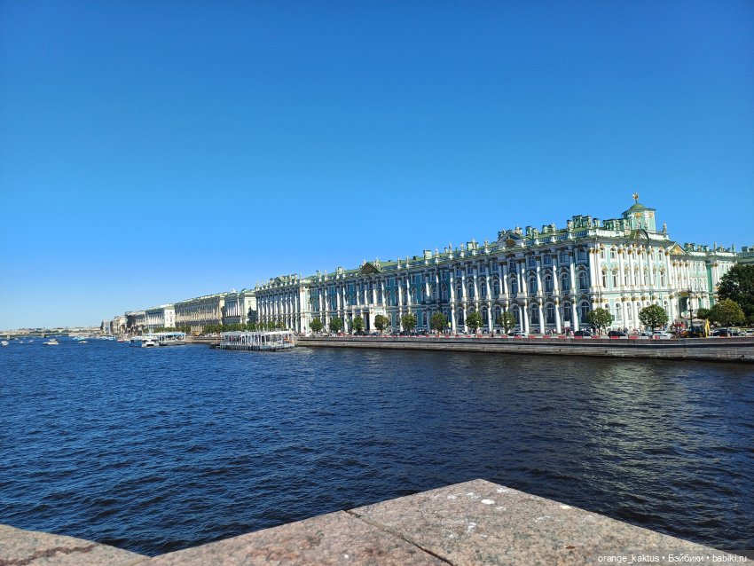 Новенький и его первая прогулка