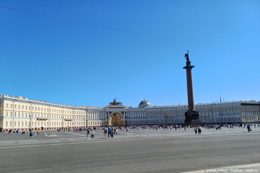 Новенький и его первая прогулка (фото 9)