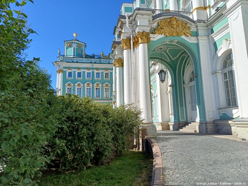 Новенький и его первая прогулка