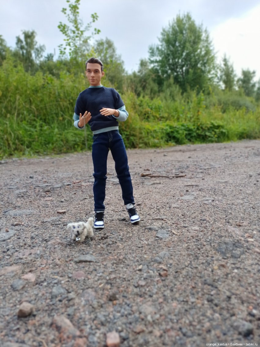 Доктор В и прогулка с Бубенчиком