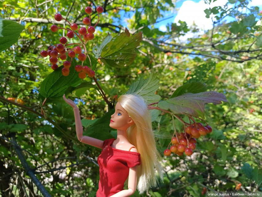 Две Милли — Куклы Барби