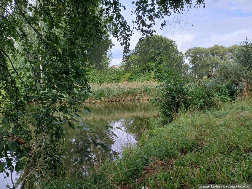 Женя и Никитос — Куклы Барби (фото 2)