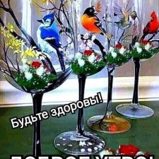 Публикация с одним фото