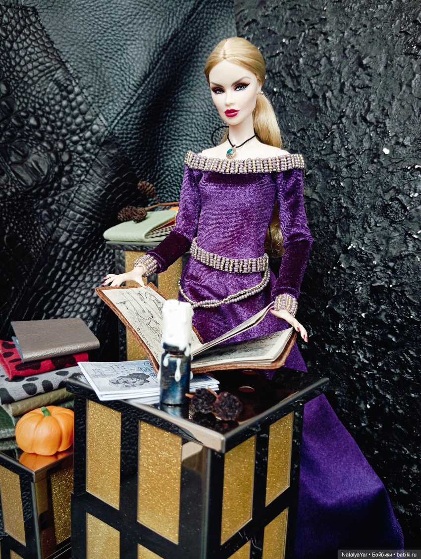 Желание леди Риен — Кукольные фотоистории и сериалы: комиксы