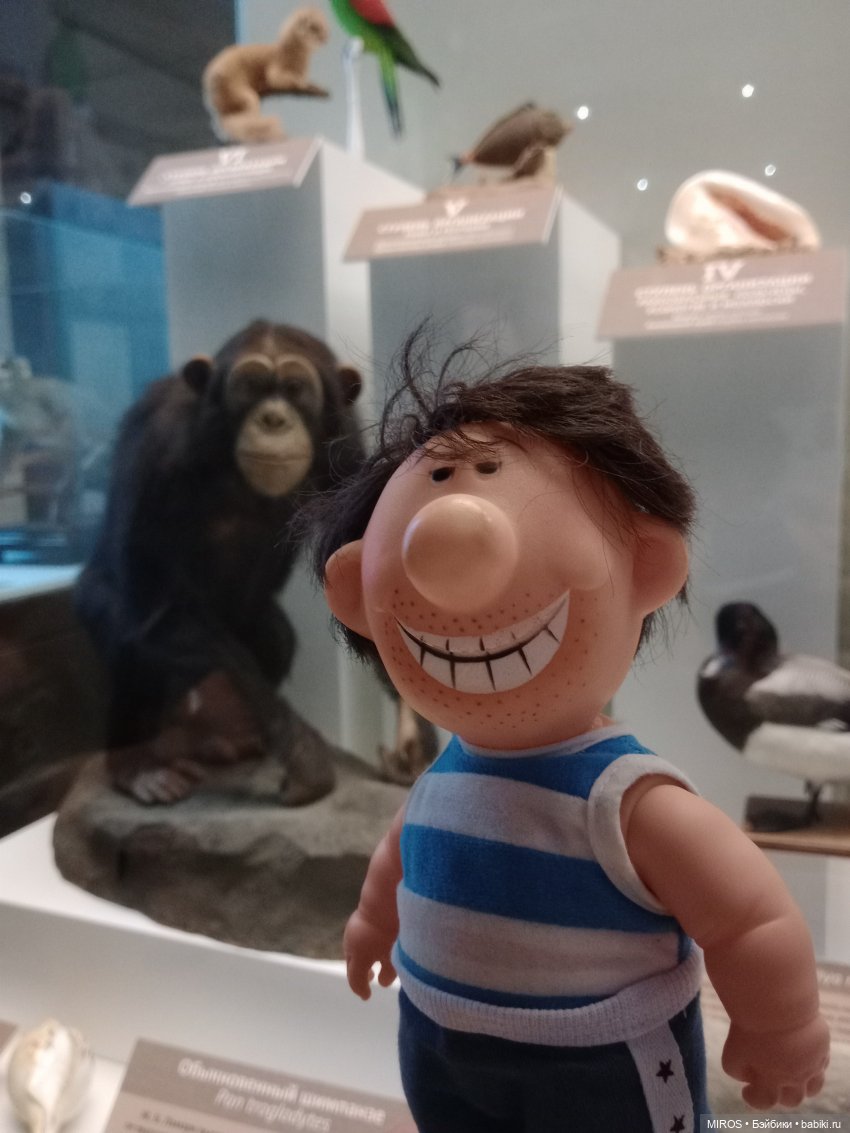 Василий в Государственном Дарвиновском музее🍎