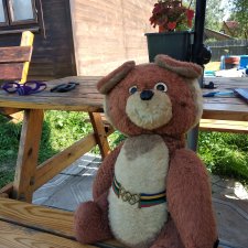 Улучшаем настроение Олимпийскому мишке