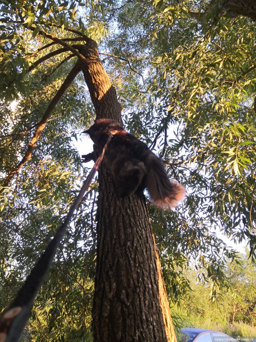 Спасатели. Репортаж из тридесятого царства