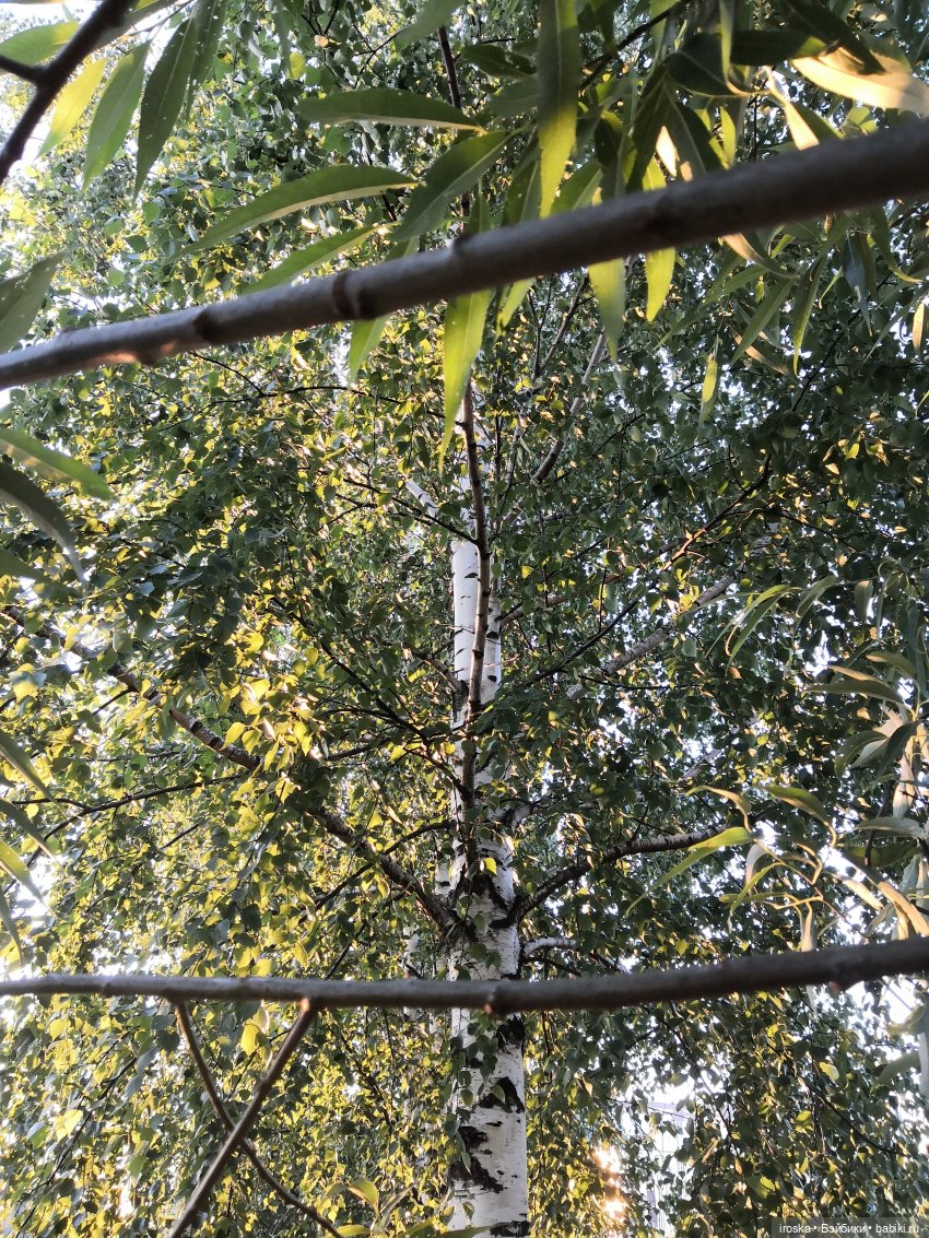 Спасатели. Репортаж из тридесятого царства