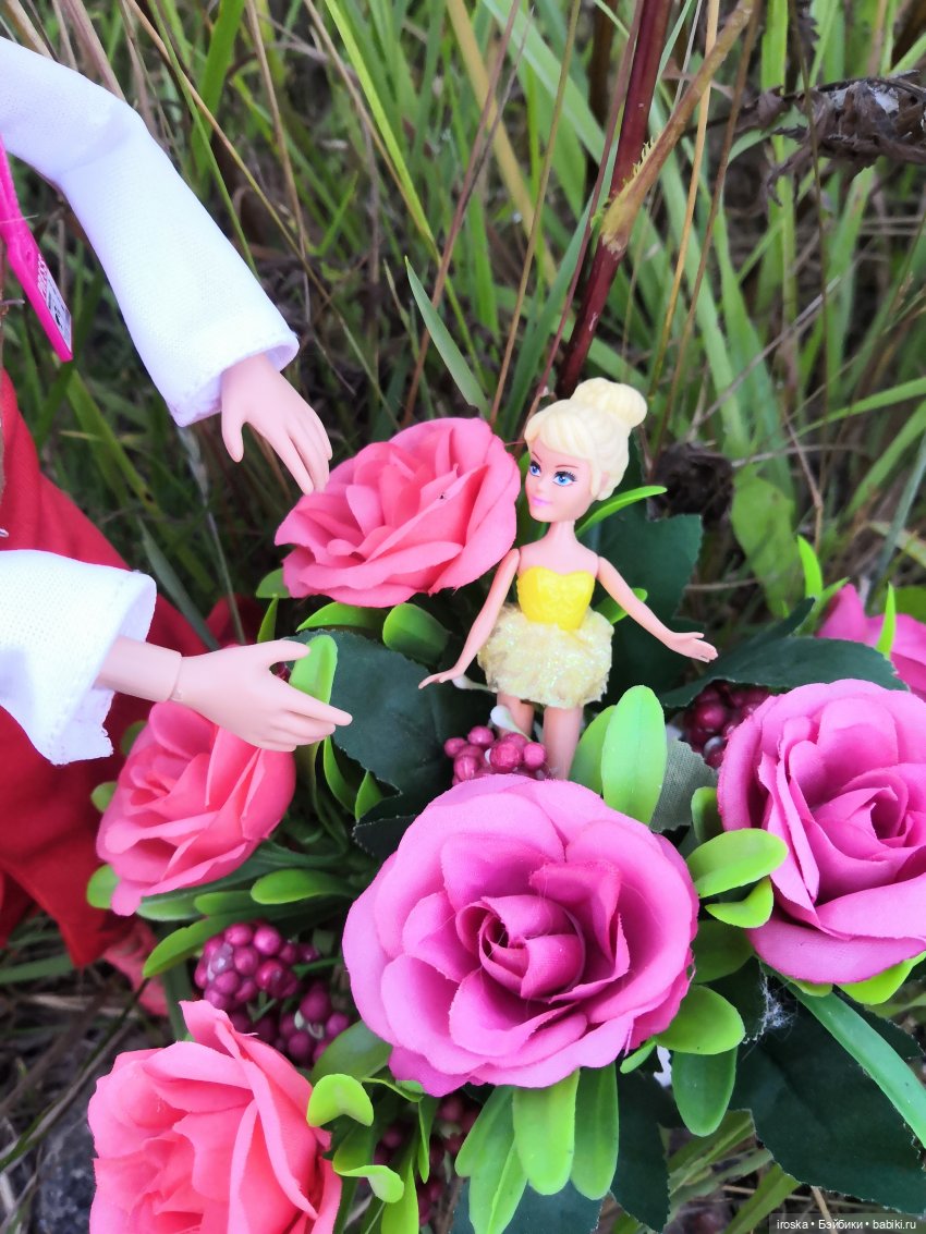 Спасатели. Репортаж из тридесятого царства