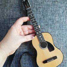 Новая гитара