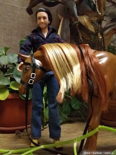 У нас лошадь — Разные шарнирные куклы (не БЖД): редкие (фото 9)