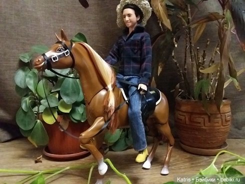 У нас лошадь — Разные шарнирные куклы (не БЖД): редкие (фото 7)