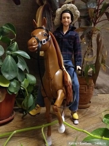 У нас лошадь — Разные шарнирные куклы (не БЖД): редкие (фото 6)