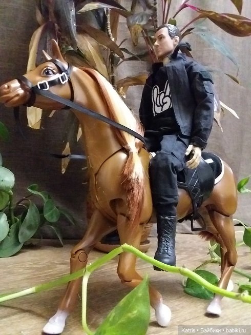 У нас лошадь — Разные шарнирные куклы (не БЖД): редкие (фото 8)