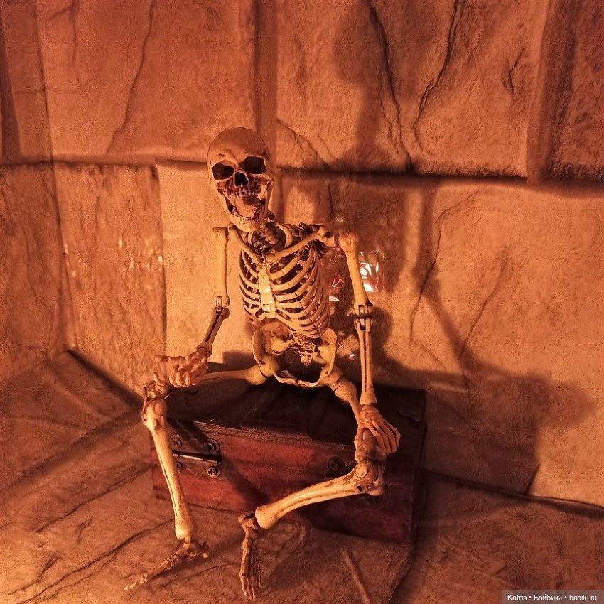 скелет, bs0011