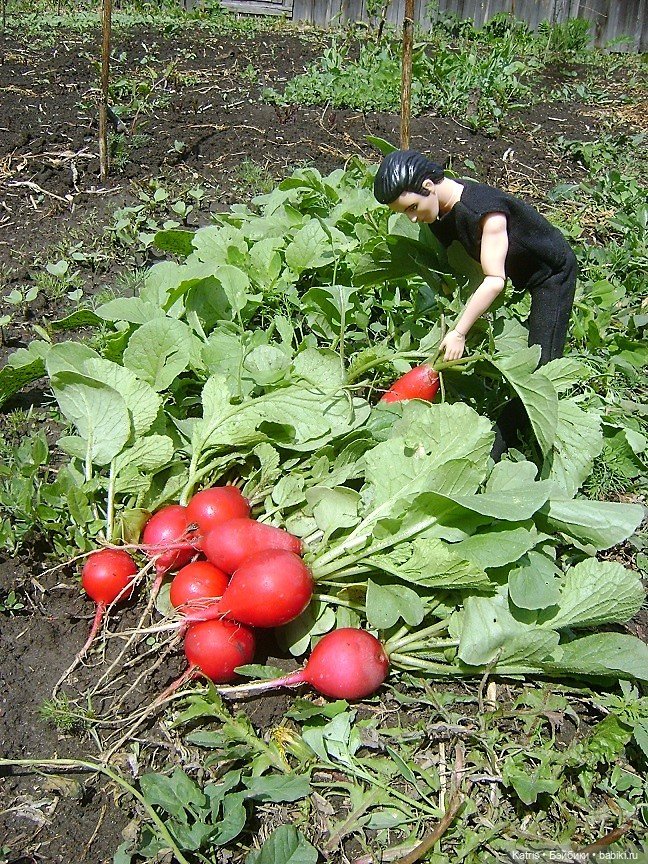 Сельские мотивы и топор — Авторские украшения и аксессуары для кукол: фото (фото 8)