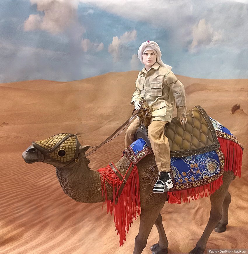 Моё пополнение 2025 — Разные шарнирные куклы (не БЖД): редкие