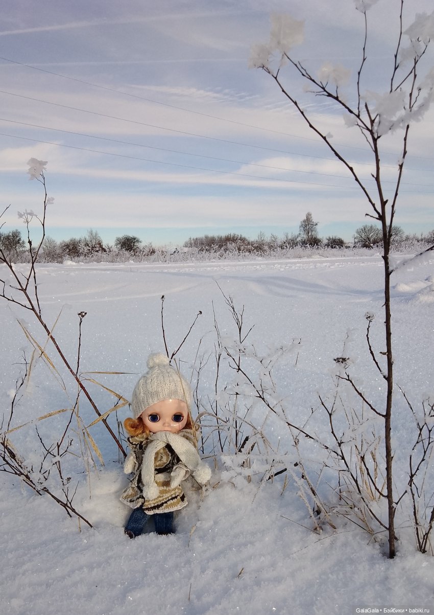 Новогоднее настроение — Куклы Pullip (Пуллип) (фото 3)