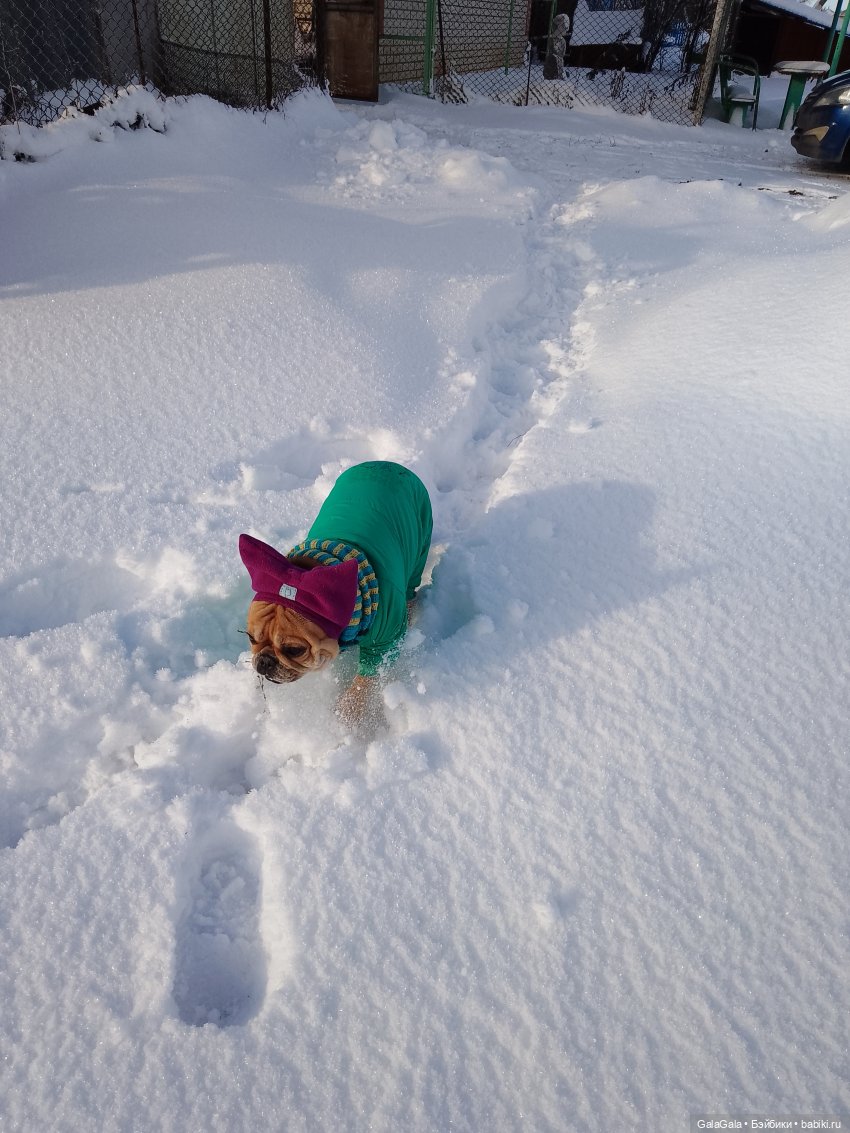 Новогоднее настроение — Куклы Pullip (Пуллип) (фото 5)