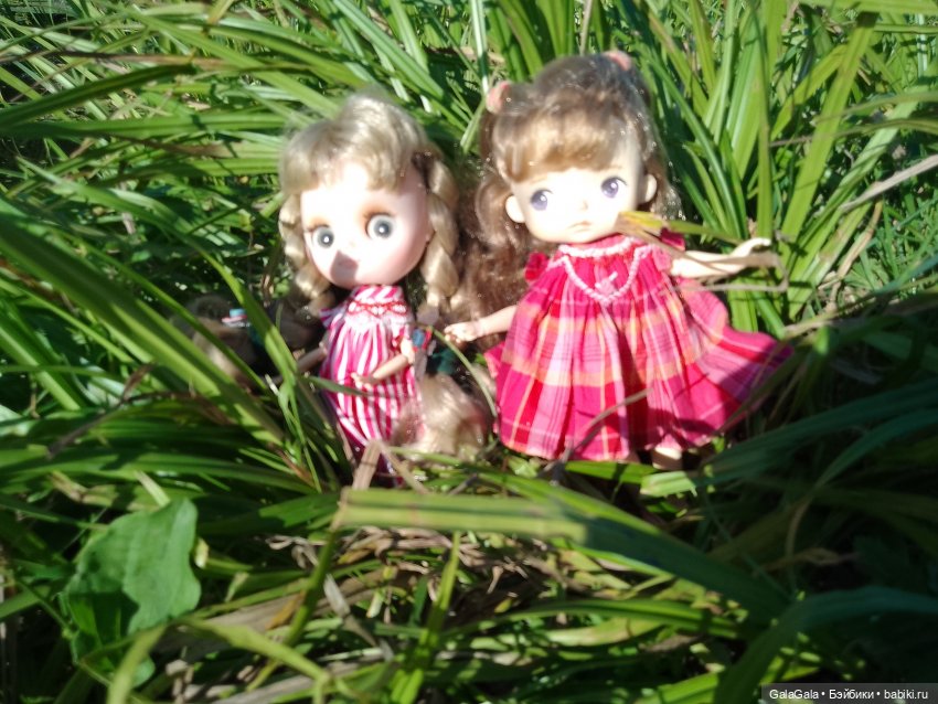 "Ненужен нам берег Турецкий" или поездка на деревенский пляж (фото 3)