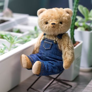 Мишки и домашний минисад