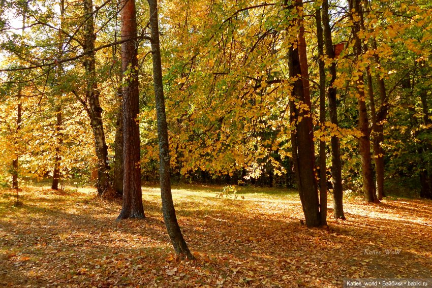 Осенняя пора — Куклы Baboliy (Баболи