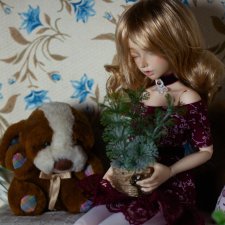 Моя первая БЖД. Минифи Селин