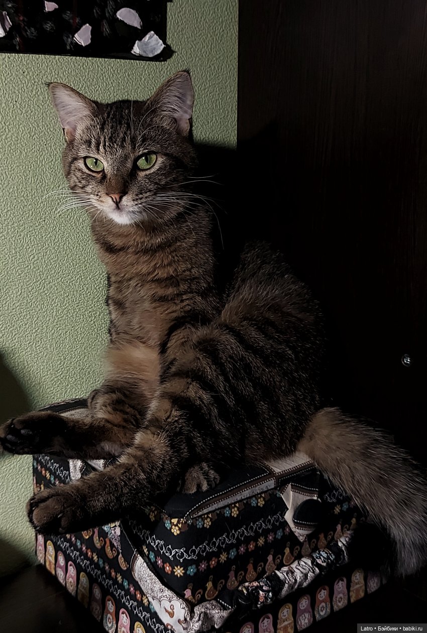 Собираем механическую деву (фото 8)