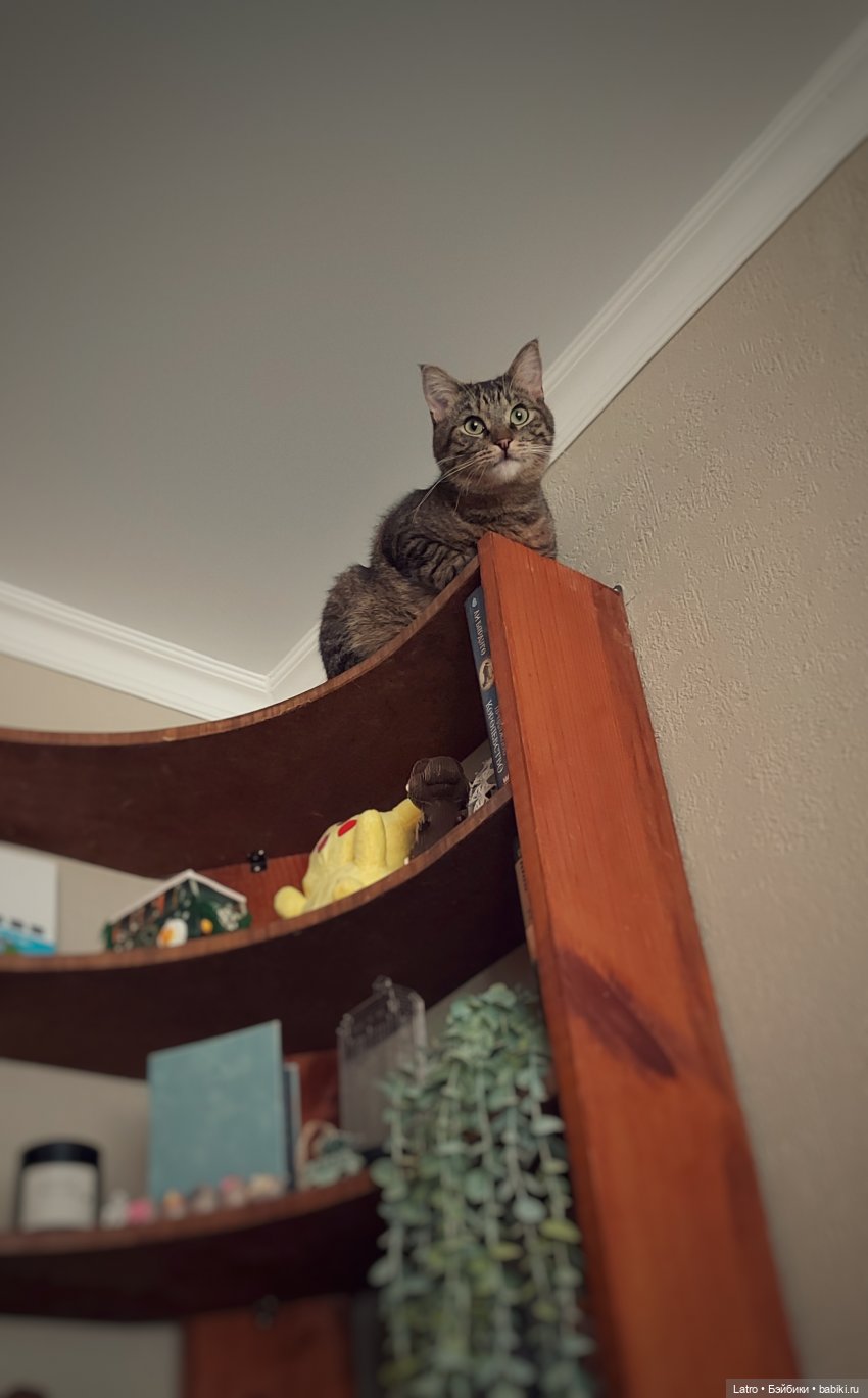 Создание стимпанк-призрака