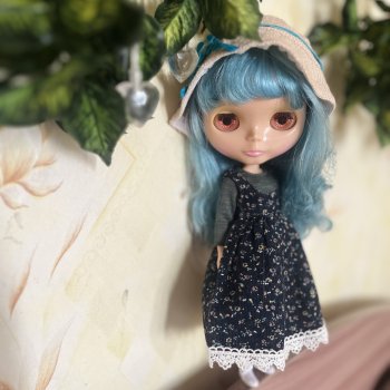 Моя первая blythe sbl
