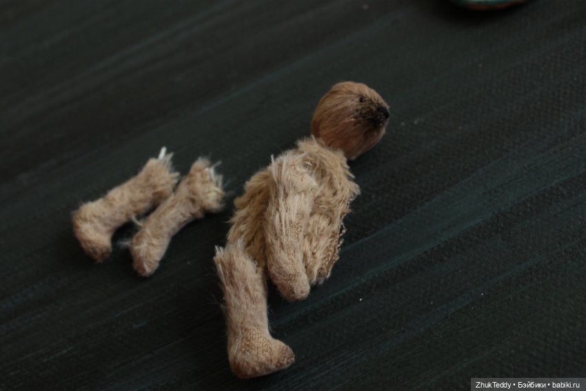 Мой самый маленький мишка (фото 3)