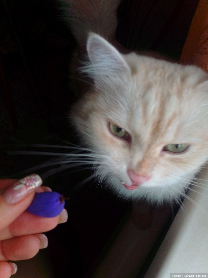 Воздушного пластилина пост (фото 6)