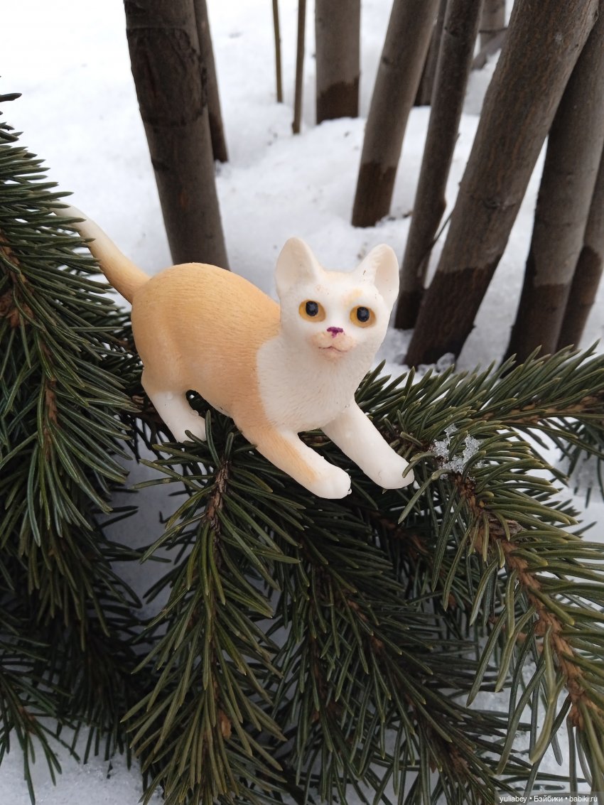 Кукловск. Зимняя прогулка