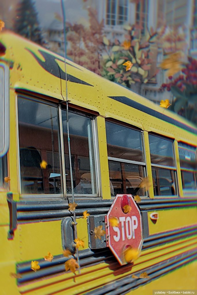 Куклогорск. Открытый урок на природе 🍁