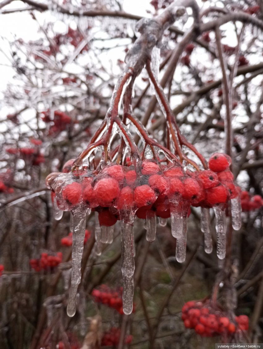 Куклогорск. Мы с Дашей гуляем (фото 2)