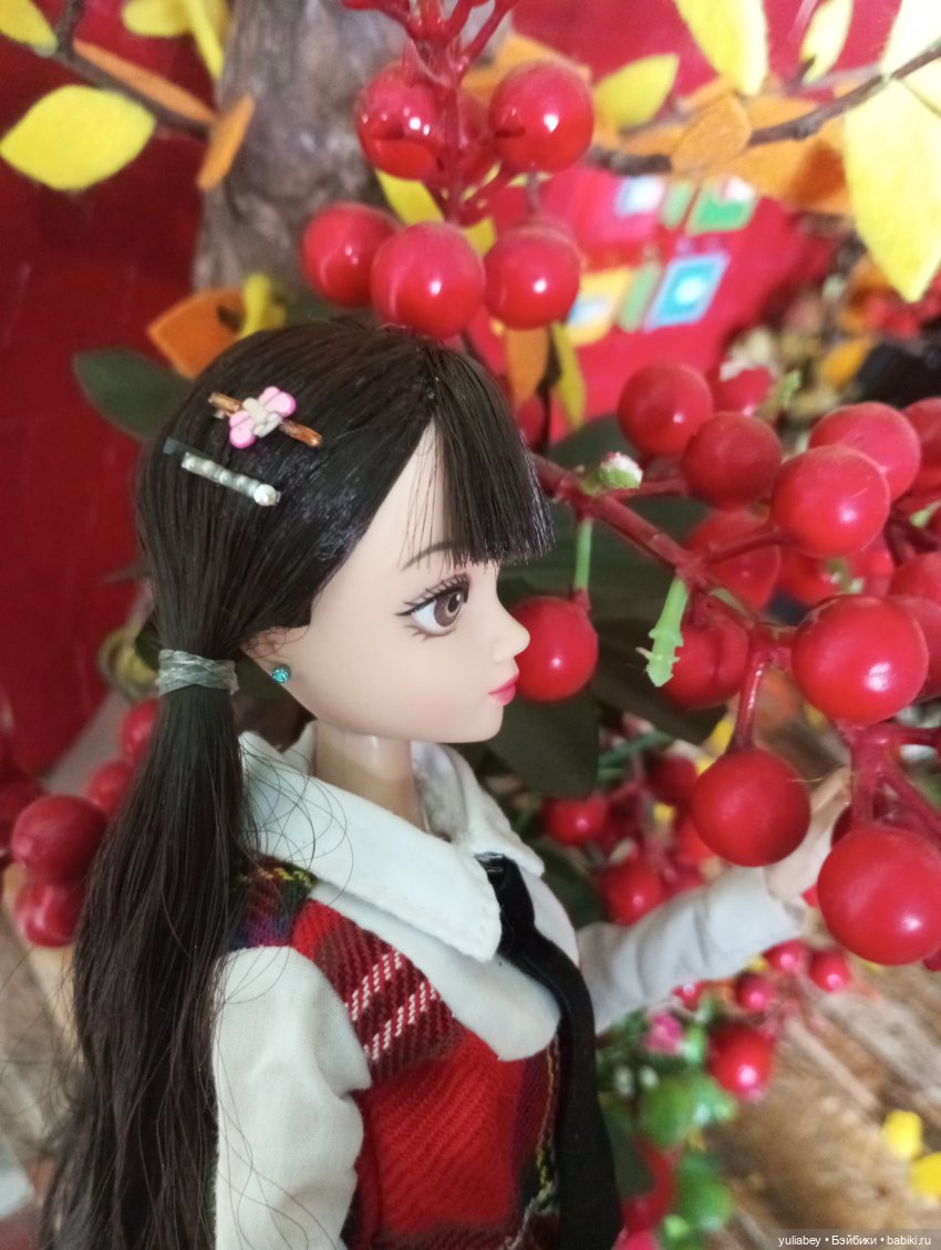 Куклогорск. Осень — Кукольные фотоистории и сериалы: комиксы