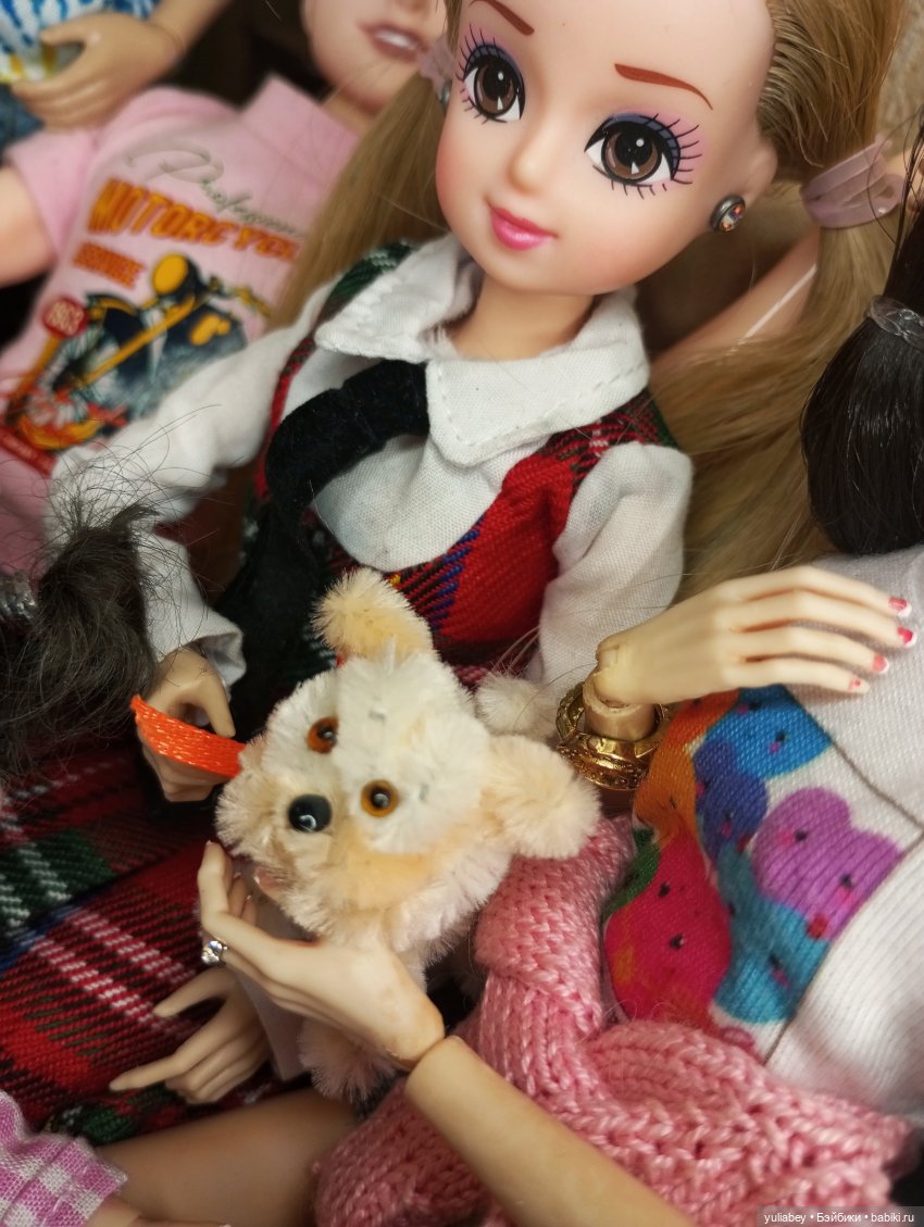 Куклогорск. Встречаем нового жителя