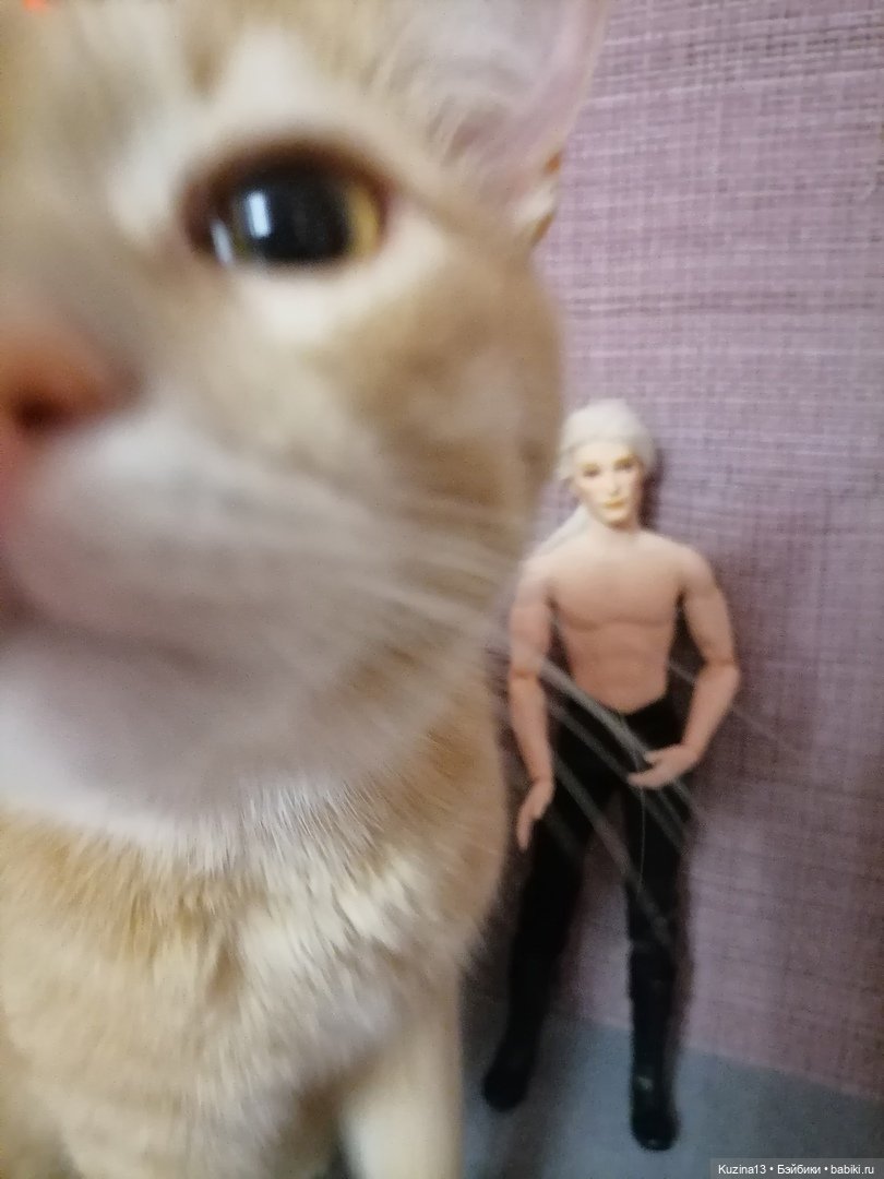 Реджин и Ингрид | Бэйбики Реджин и Ингрид — Разные шарнирные куклы (не БЖД): редкие (фото 8)