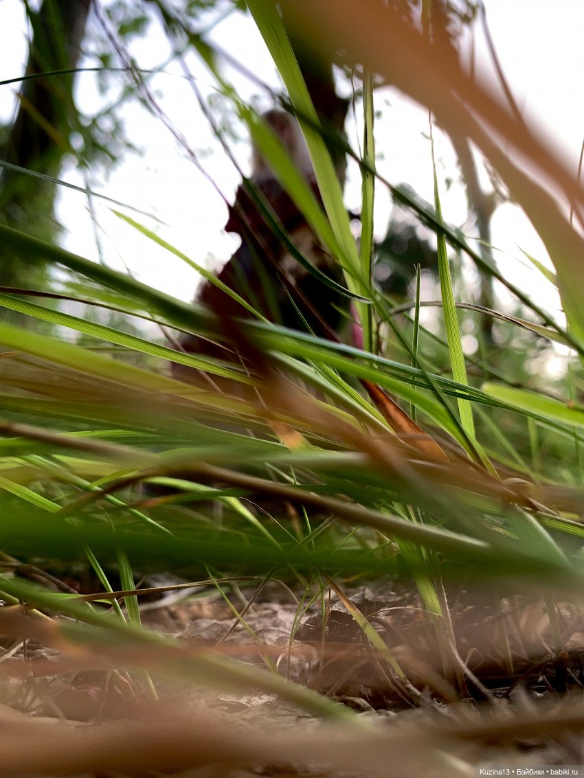 Гретель — Гибриды шарнирных кукол (не БЖД): подбор тела