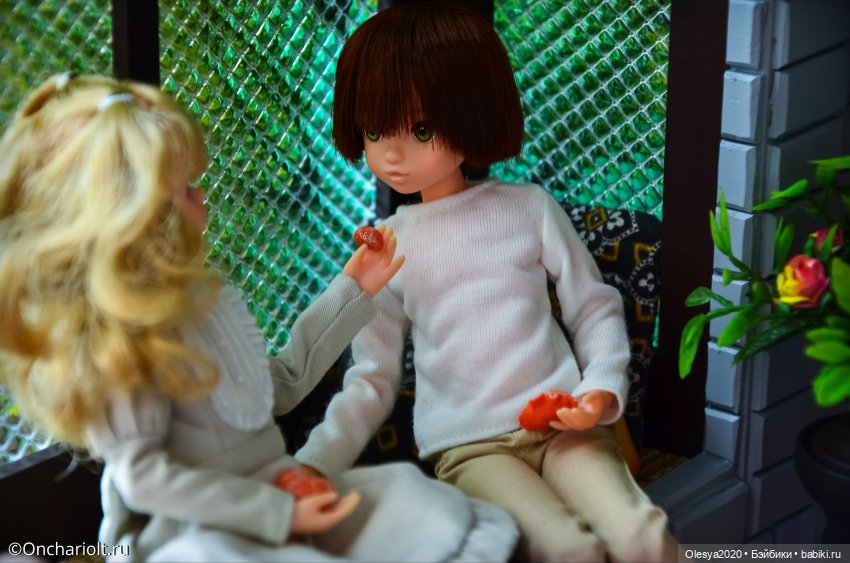 Мандаринки — Куклы Momoko и Ruruko (Petworks (фото 9)