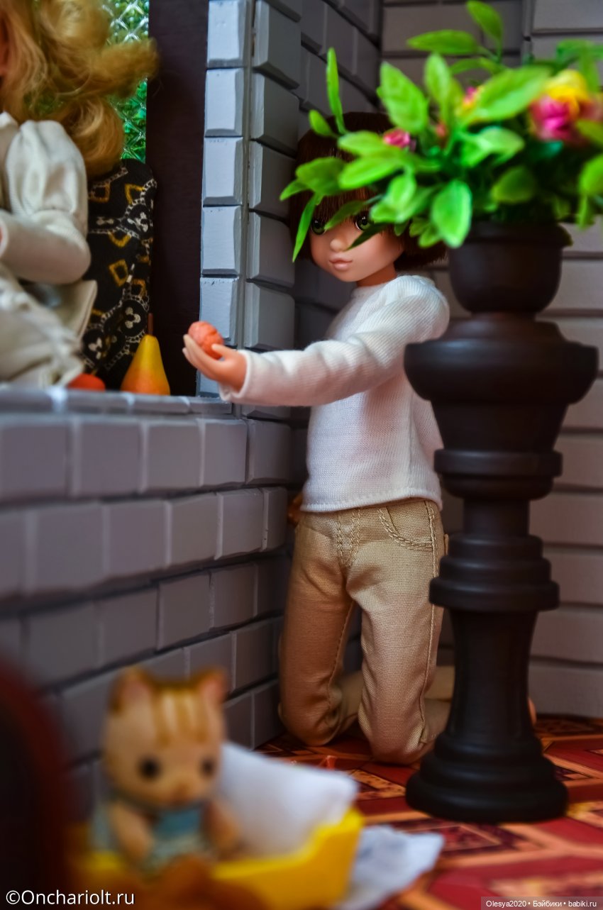 Мандаринки — Куклы Momoko и Ruruko (Petworks (фото 5)