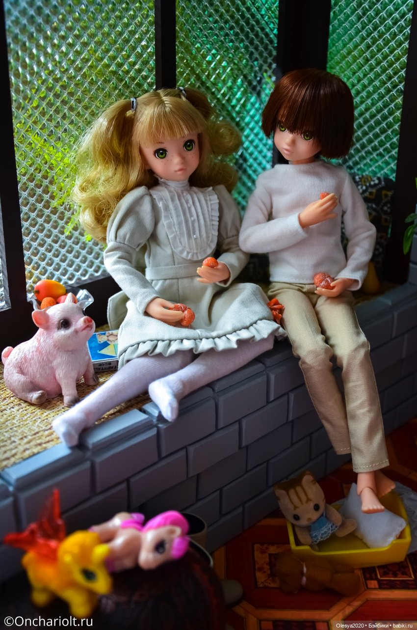 Мандаринки — Куклы Momoko и Ruruko (Petworks (фото 10)