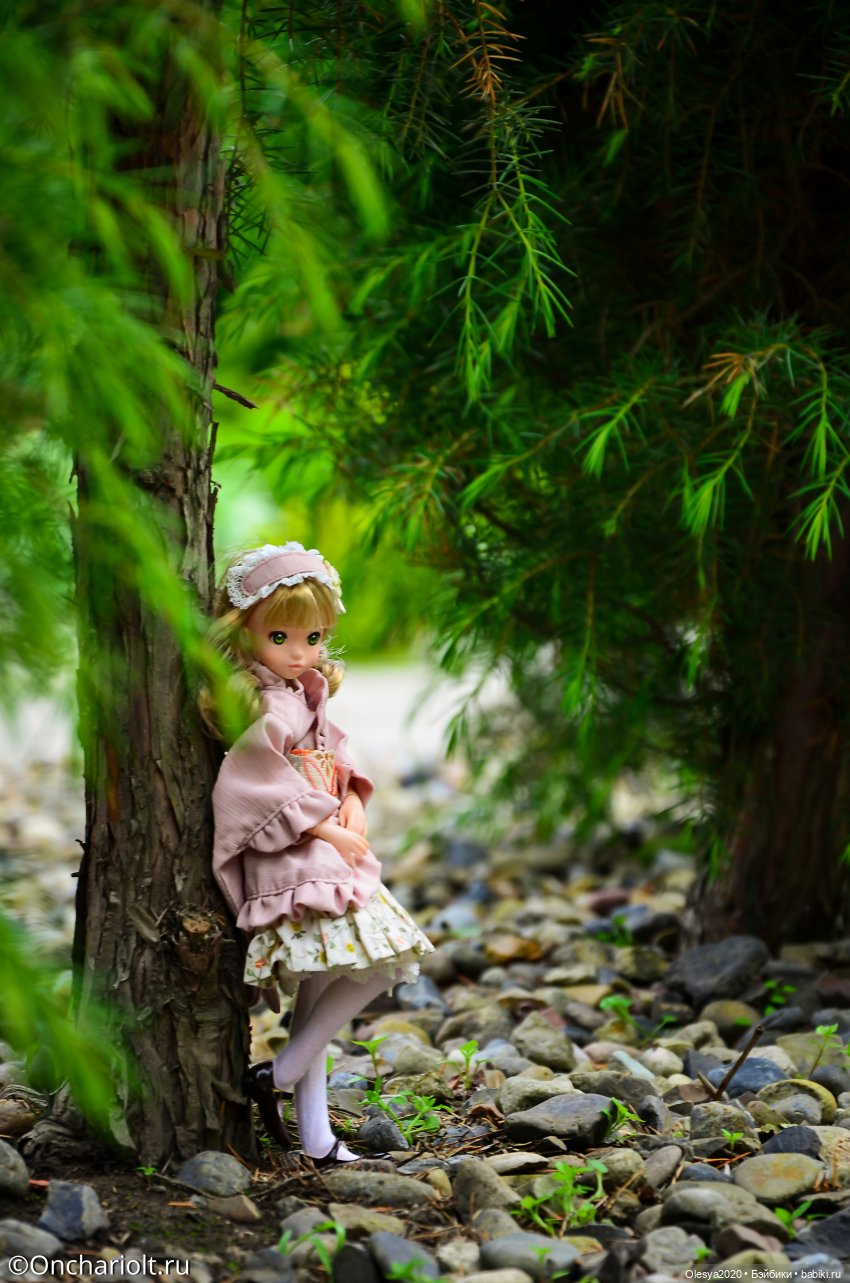 Малышка по имени Уими — Куклы Momoko и Ruruko (Petworks