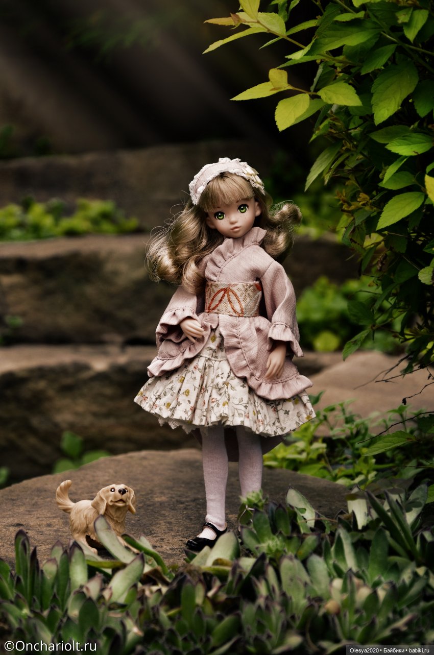 Малышка по имени Уими — Куклы Momoko и Ruruko (Petworks