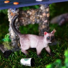 Печеньки для котика